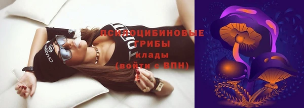 эйфоретик Беломорск
