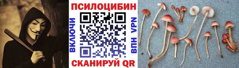 Псилоцибиновые грибы Psilocybine cubensis  Бузулук 