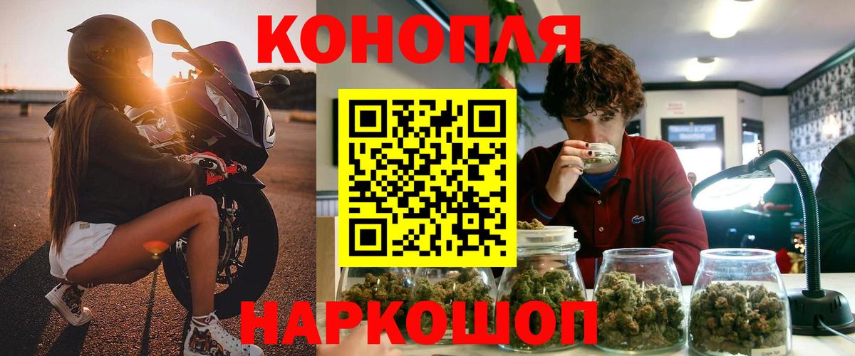 Бошки марихуана планчик  Бошки марихуана сатива  Канабис Bruce Banner  Вход с VPN  Бузулук  Бошки марихуана сатива 